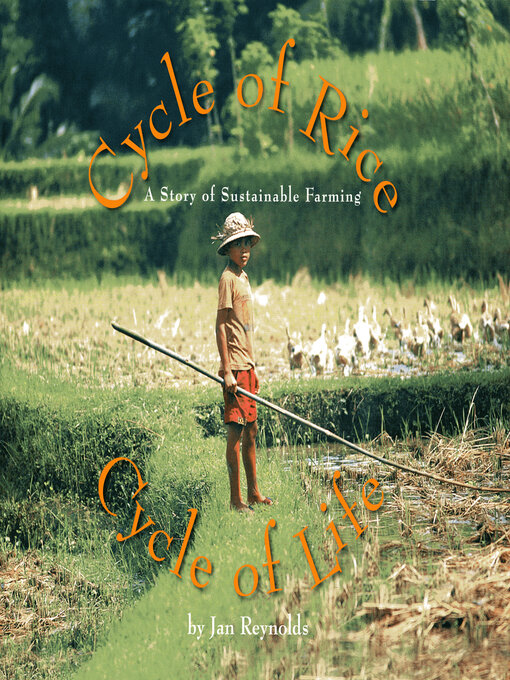 Cover image for Cycle of Rice, Cycle of Life
